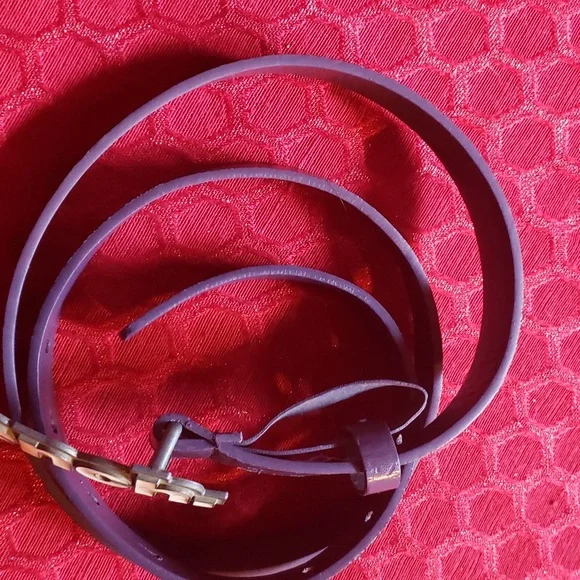 Bench Belt - Picture 7 of 7